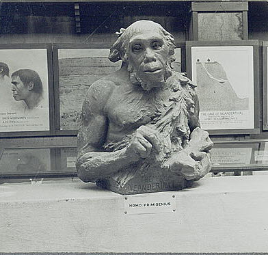 A bust of a Prehistoric Man, likely not an SEO