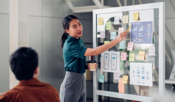 woman presenting campaign to a team